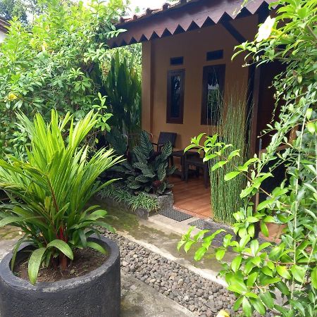 Juda Homestay Баньюванги Экстерьер фото