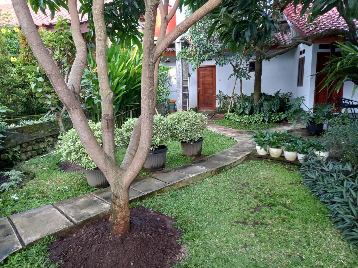 Juda Homestay Баньюванги Экстерьер фото