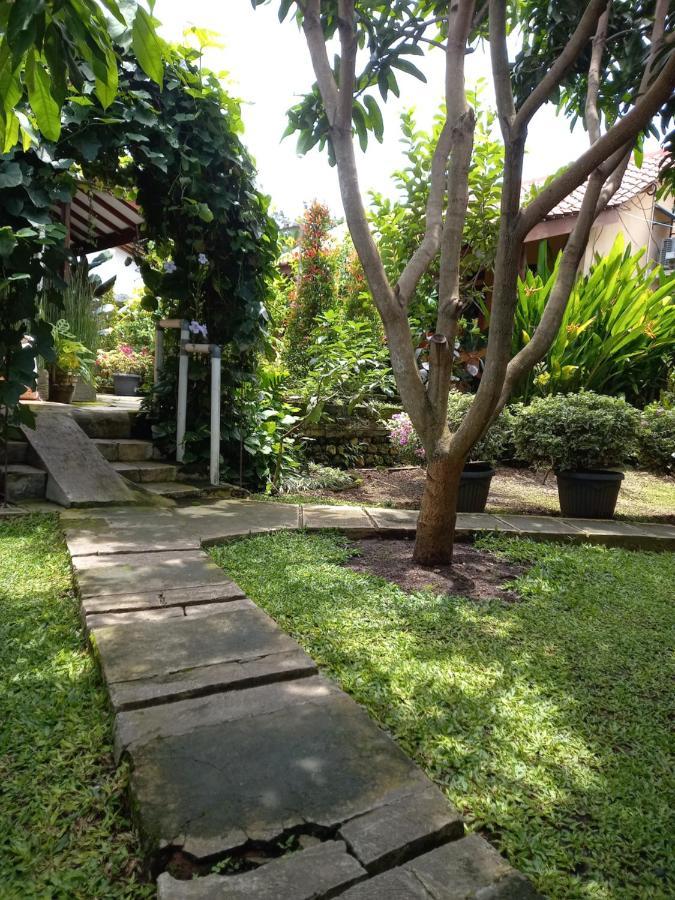 Juda Homestay Баньюванги Экстерьер фото