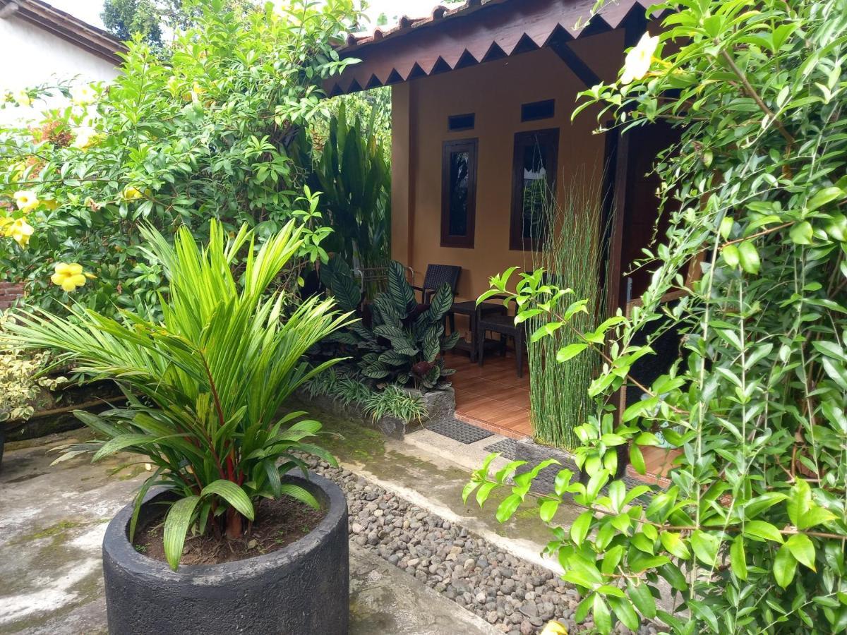 Juda Homestay Баньюванги Экстерьер фото
