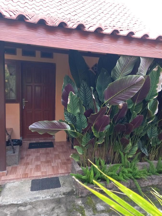 Juda Homestay Баньюванги Экстерьер фото